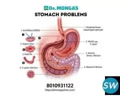 Doctor in Shakarpur for stomach ulcer - 1