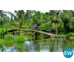 Mystic Beats of Kerala