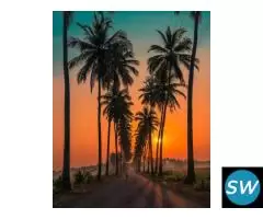 Go Goa at Unbeatable Price (Budget Hotels) - 4