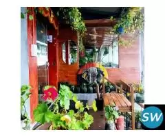 Resorts in Vattakanal