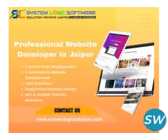 Professional Website Developer in Jaipur
