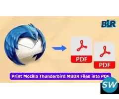 Thunderbird Files to PDF: BLR MBOX Converter