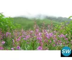 Valley Of Flower By Helicopter - 2