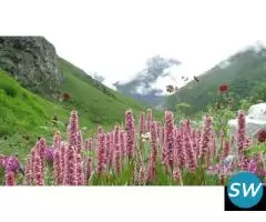 Valley Of Flower By Helicopter - 3