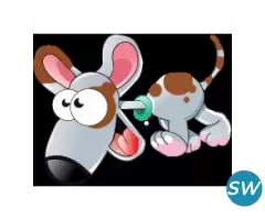 Web Design and Development Services