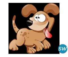 Web Design and Development Services