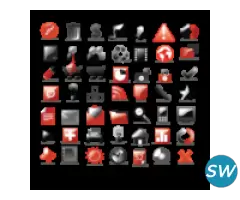 Web Design and Development Services