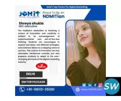 Master Digital Marketing at NDMIT South Delhi