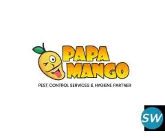 Papa Mango Elite Solution Private Limited