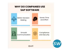 Why Do Companies Use SAP Software - SAP