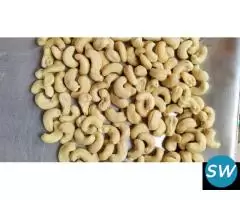 QUALITY W240 W320 CASHEW NUTS IN PUNJAB RAJASTHAN - 3