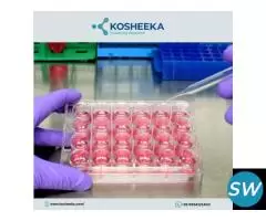 Custom-Specific Primary Cell Cultures - 1