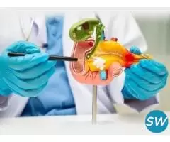 Advanced Pancreatic Care With Whipple Surgery - 1