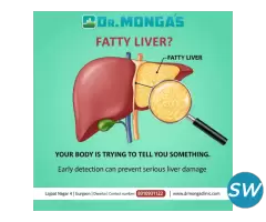 Ayurvedic Treatment for Fatty Liver - 1