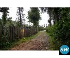 Luxury Plantation Homestays in Coorg | Best Stays