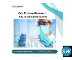 Cell Culture Research: Key to Biological Studies