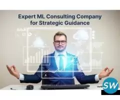 Expert ML Consulting Company - 1