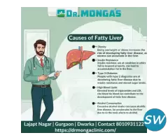 Fatty Liver Grade 2 Ayurvedic Treatment - 1