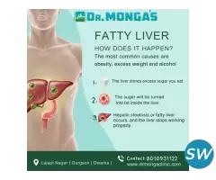 Grade 1 Fatty Liver Causes - 1