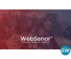 web development company in bangalore