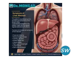 Liver Abscess Treatment 8010931122 - 1