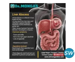 Liver Abscess Causes 8010931122 - 1
