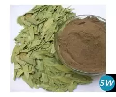Senna Leaves, Pods Manufacturer in India - 1