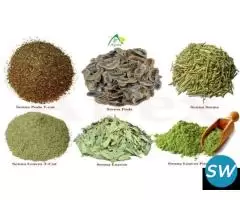 Senna Leaves, Pods Manufacturer in India - 2