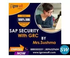 SAP Security and GRC Training Institute Igrowsoft - 2