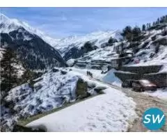 Manali Delights with Apple Country