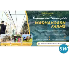 Adventure Park In Gurgaon