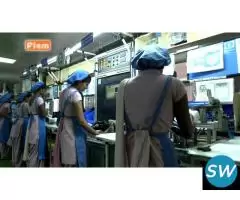 Automotive lamps manufacturer