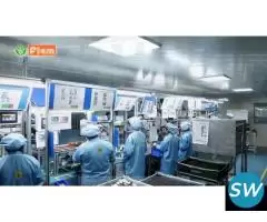 Automotive lamps manufacturer