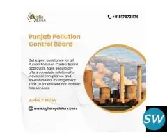 Punjab Pollution Control Board Expert Assistance