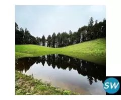 Manali Delights with Apple Country