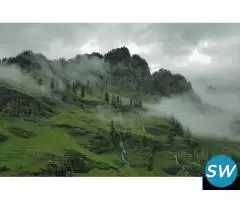 Manali Delights with Apple Country