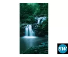 Wonderful Holiday in Goa (Standard Hotels)