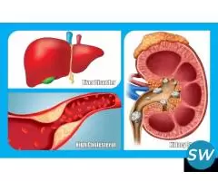 Best Homeopathy doctor  in vaishali