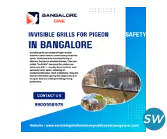 Invisible Grills for Pigeon Safety in Bangalore