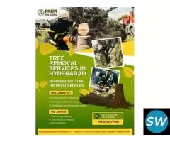 Tree Removal Services in Hyderabad