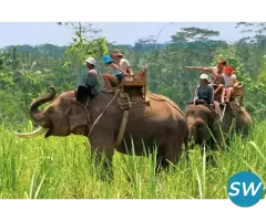 Dhikala jeep safari online booking