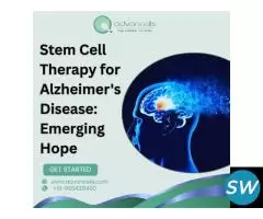 New Alzheimer's treatments 2025: An Overview