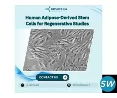 Adipose-Derived Stem Cell Culture Protocol Support