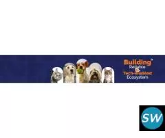 Dog Grooming Service in Hyderabad  - By ThePetNest