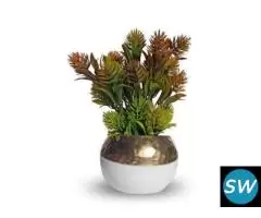 Shweta Enterprise - Artificial Plants & Grass