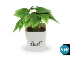 Shweta Enterprise - Artificial Plants & Grass