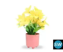 Shweta Enterprise - Artificial Plants & Grass