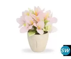 Shweta Enterprise - Artificial Plants & Grass