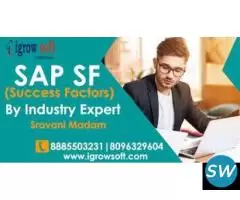SAP Success Factors training | Igrowsoft