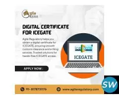 Trusted ICEGATE Digital Signature Provider